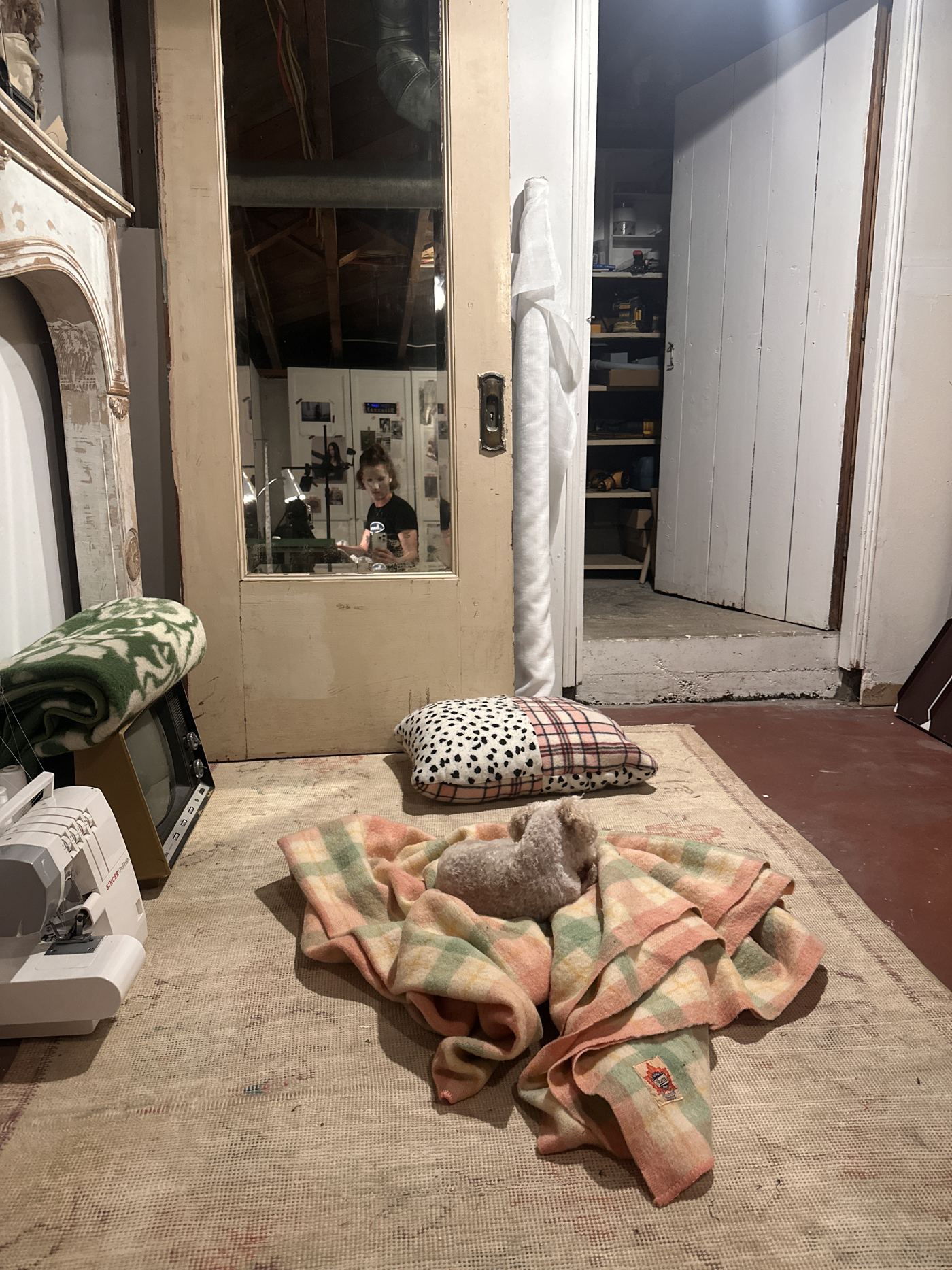 Taylor photographing herself in a mirror in her basement studio, with the family’s small poodle curled up on a blanket on the rug